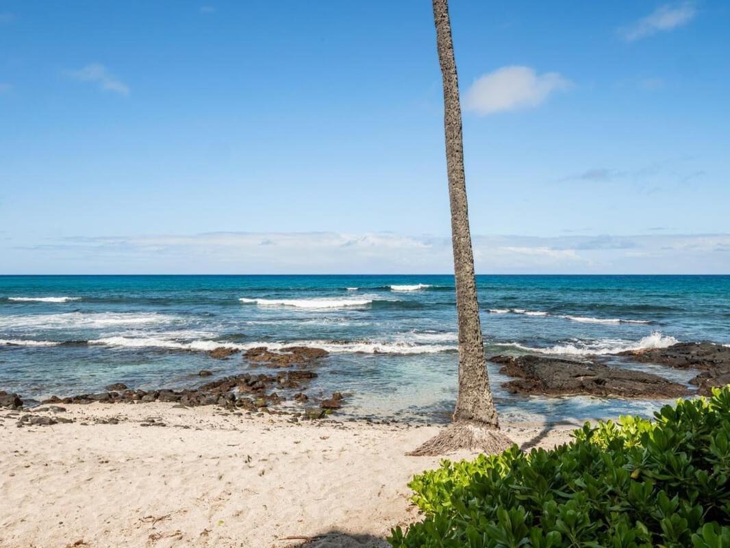 Oceanfront 1 Bedroom 2 Bathroom With Large Lanai - Kona Bali Kai 218 Каилуа-Кона Экстерьер фото
