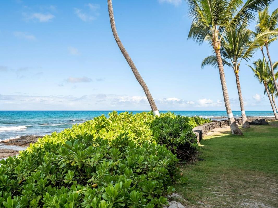 Oceanfront 1 Bedroom 2 Bathroom With Large Lanai - Kona Bali Kai 218 Каилуа-Кона Экстерьер фото